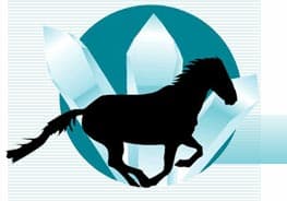 Logo Pferd & Reiter — Virginia Pfändler-Küng